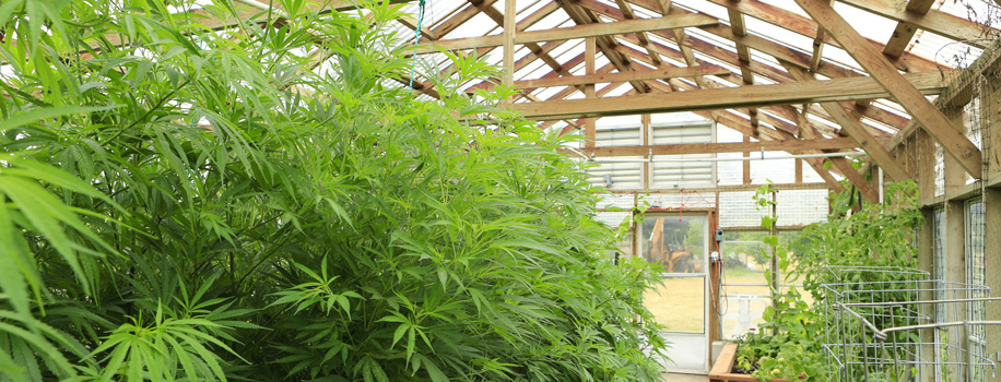 Security Solutions for Apartments in Allentown, PA